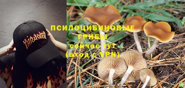 MESCALINE Алзамай