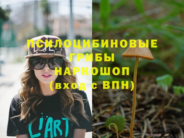 ешки Семикаракорск