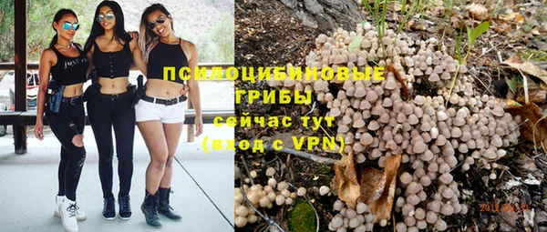 а пвп мука Алексеевка