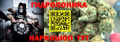 прущие грибы Пыть-Ях