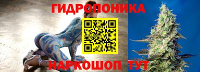 прущие грибы Пыть-Ях