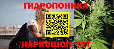 прущие грибы Пыть-Ях