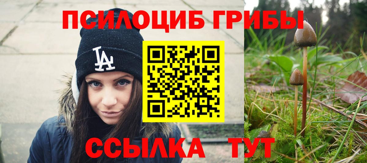 Галлюциногенные грибы Cubensis Тара