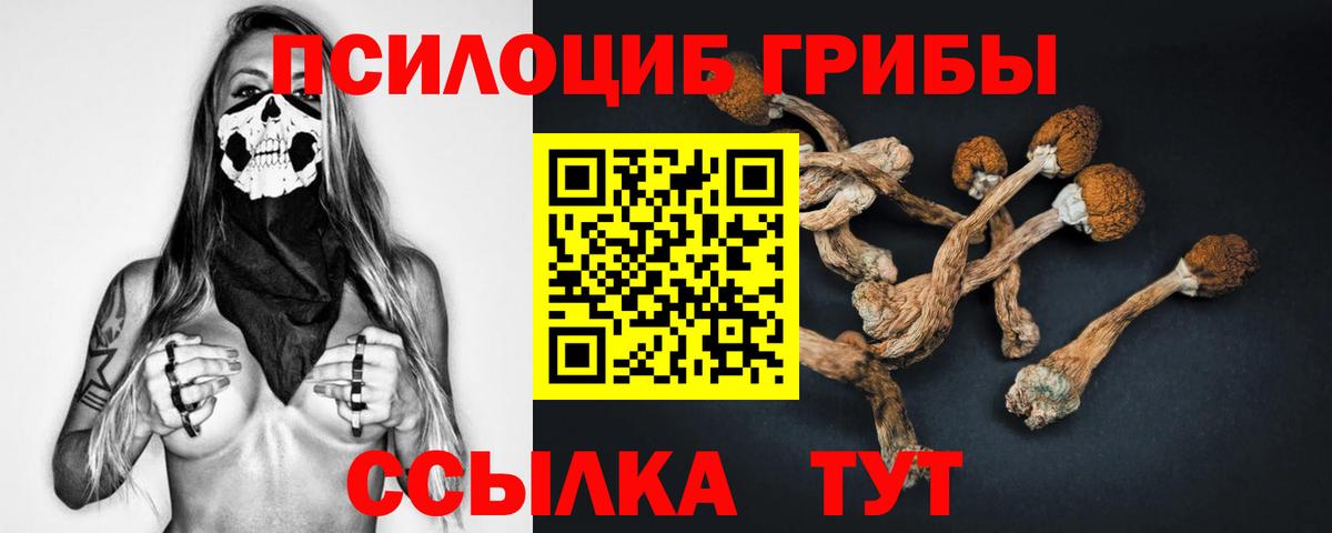 Псилоцибиновые грибы прущие грибы  Галлюциногенные грибы GOLDEN TEACHER  Тара  как найти наркотики  Вход с VPN 