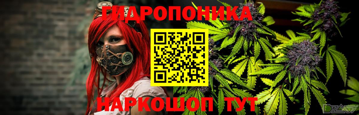 МАРИХУАНА сатива Тара